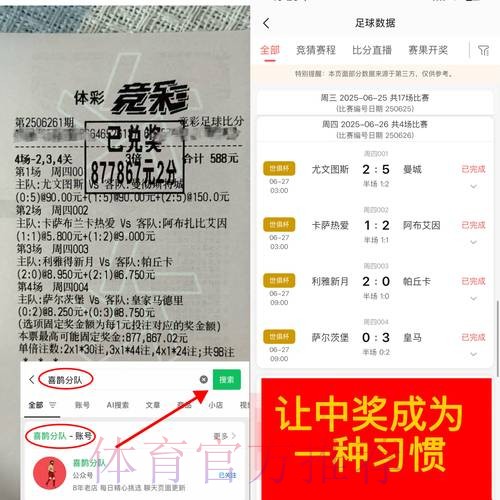 世界杯外围平台风险与安全性全面分析 世界杯外围平台风险与安全性全面分析